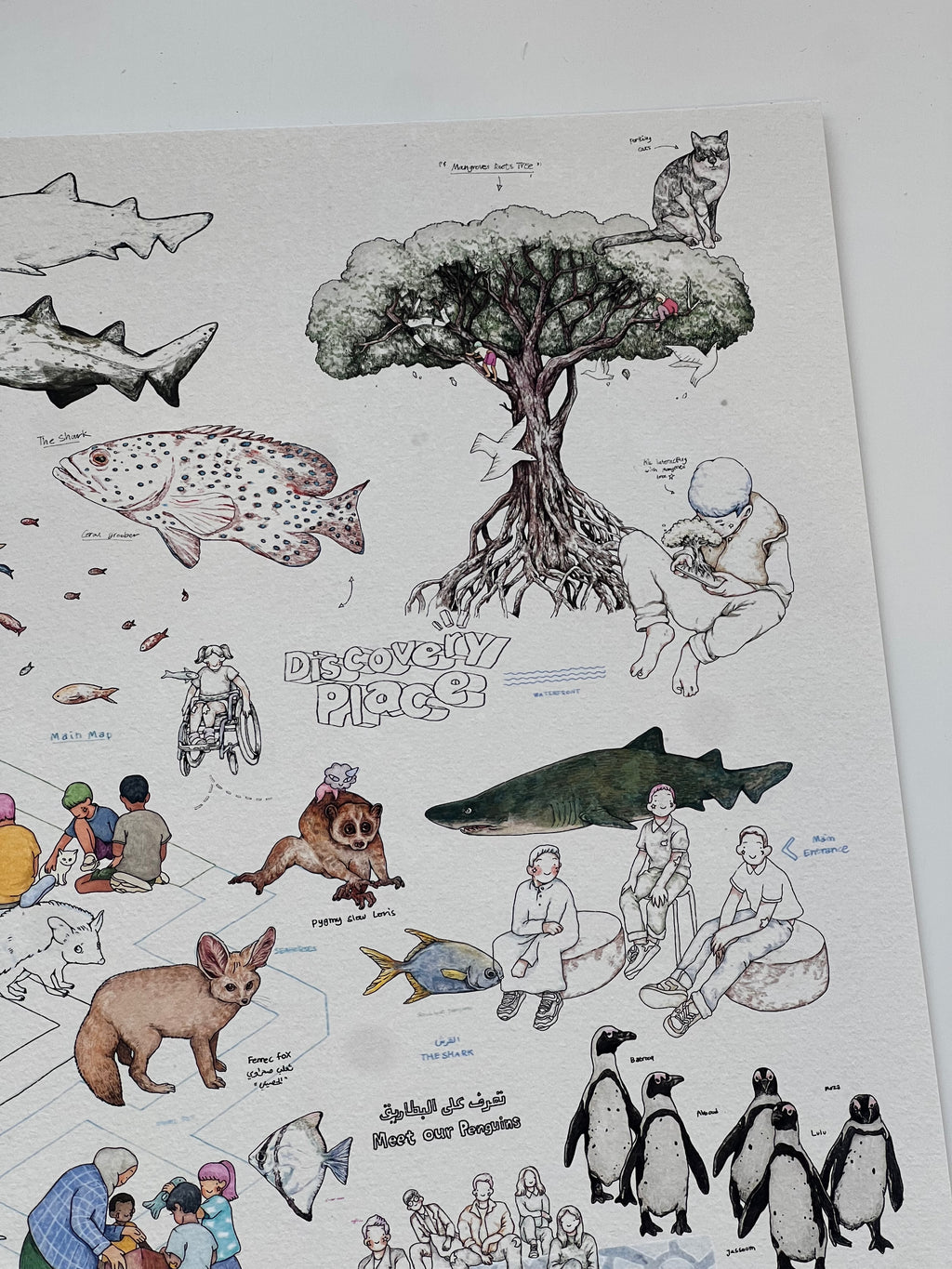 Scientific Centre - Mohammad Al Mohanna